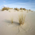 Peron Dunes