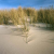 Peron Dunes 2
